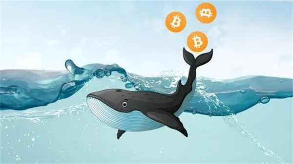 WHALE币今日最新价格行情-第1张图片-欧意下载