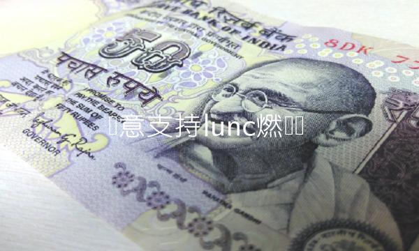 欧意支持lunc燃烧吗-第1张图片-欧意下载