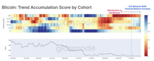 比特币分析师绘制出BTC 价格走势的关键牛市和熊市案例-第5张图片-欧意下载