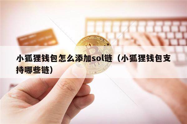 小狐狸钱包怎么添加sol链（小狐狸钱包支持哪些链）-第1张图片-欧意下载