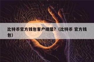 比特币官方钱包客户端是?（比特币 官方钱包）