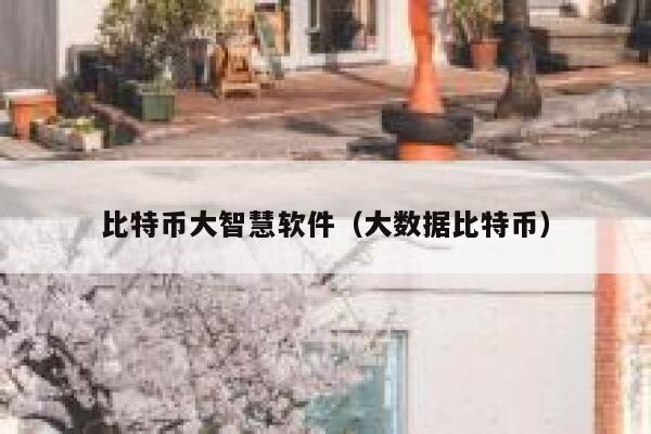 比特币大智慧软件（大数据比特币）-第1张图片-欧意下载