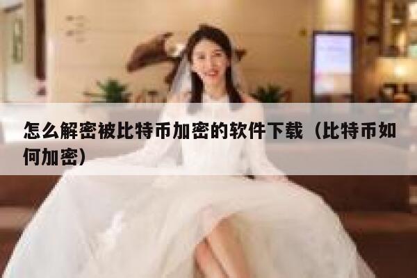 怎么解密被比特币加密的软件下载（比特币如何加密）-第1张图片-欧意下载