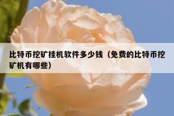 比特币挖矿挂机软件多少钱（免费的比特币挖矿机有哪些）-第1张图片-欧意下载
