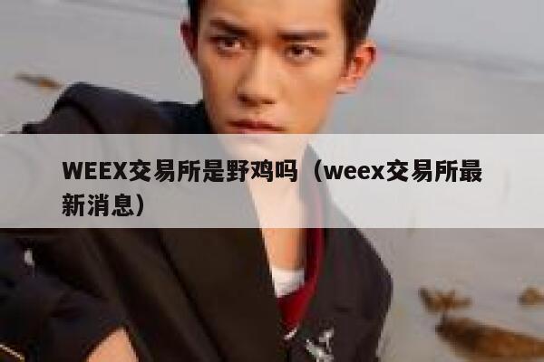 WEEX交易所是野鸡吗（weex交易所最新消息）-第1张图片-欧意下载
