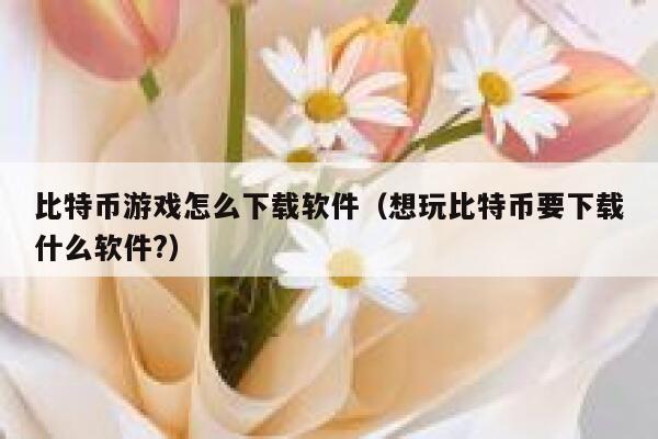 比特币游戏怎么下载软件（想玩比特币要下载什么软件？）-第1张图片-欧意下载