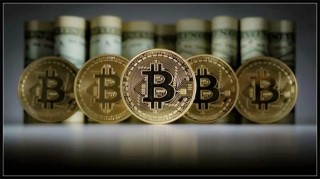 MPL币今日最新价格行情