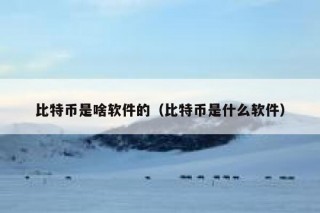 比特币是啥软件的（比特币是什么软件）