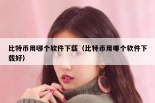 比特币用哪个软件下载（比特币用哪个软件下载好）