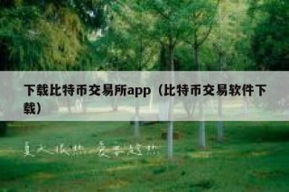 下载比特币交易所app（比特币交易软件下载）