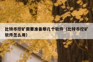 比特币挖矿需要准备那几个软件（比特币挖矿软件怎么用）