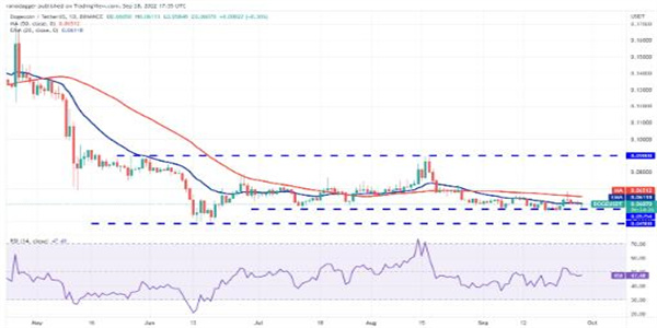 狗狗币最新价格是多少 DOGE今日最新消息-第2张图片-欧意下载