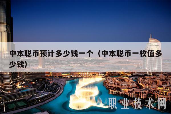 中本聪币预计多少钱一个（中本聪币一枚值多少钱）-第1张图片-欧意下载