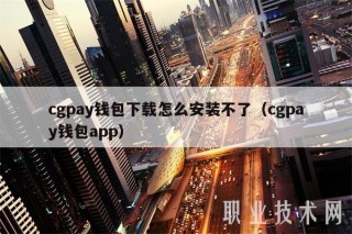 cgpay钱包下载怎么安装不了（cgpay钱包app）