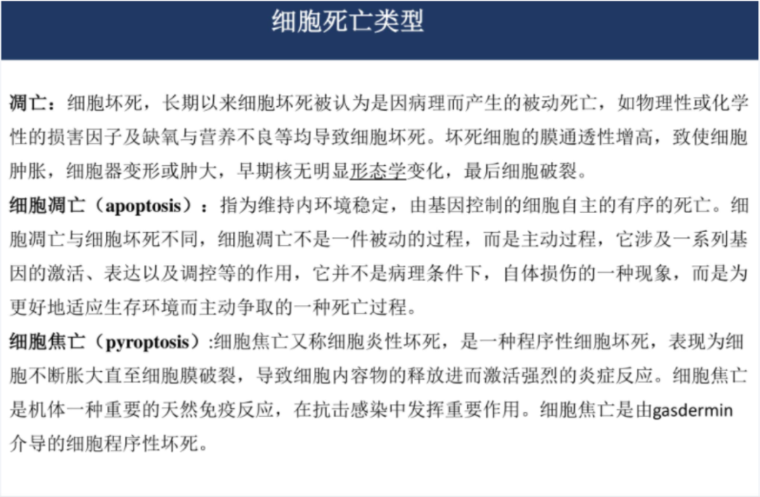 关于基金的ppt课件（关于基金的ppt课件下载）-第3张图片-欧意下载