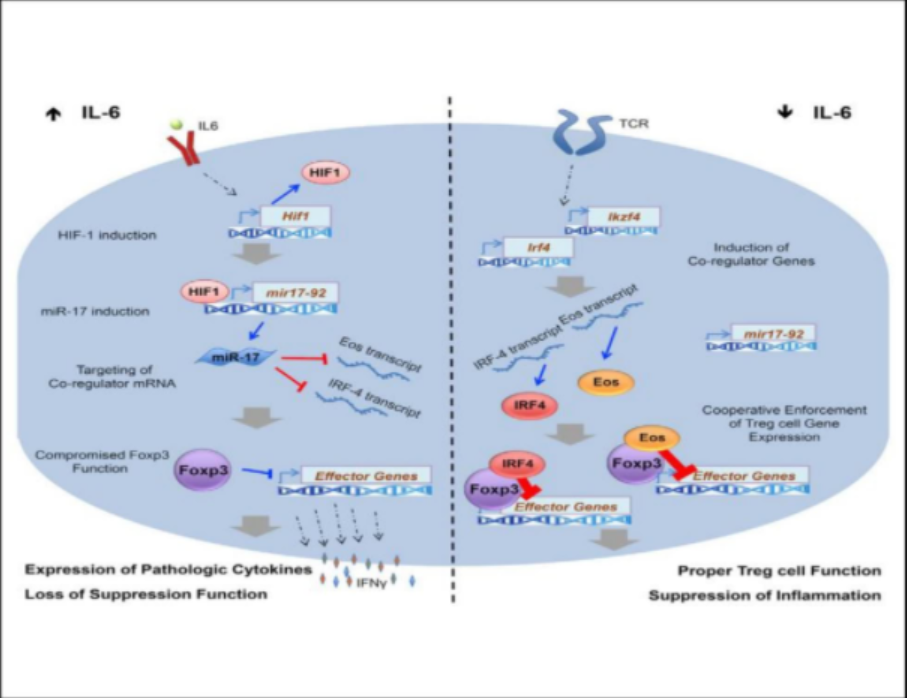 关于基金的ppt课件（关于基金的ppt课件下载）-第7张图片-欧意下载