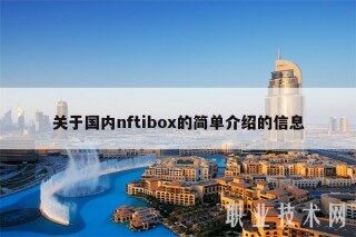 关于国内nftibox的简单介绍的信息