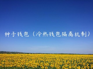 种子钱包（冷热钱包隔离机制）