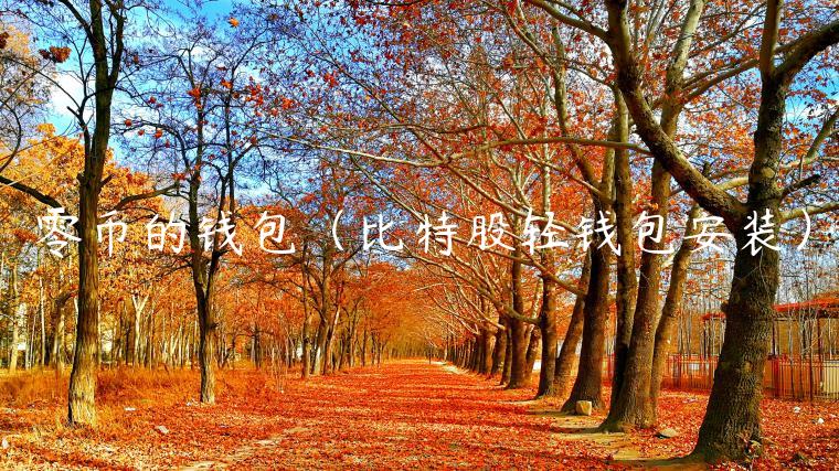 零币的钱包（比特股轻钱包安装）-第1张图片-欧意下载