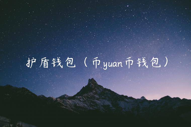 护盾钱包（币yuan币钱包）-第1张图片-欧意下载