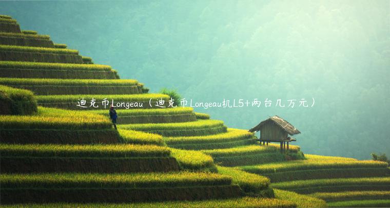 迪克币Longau（迪克币Longau机L5+两台几万元）-第1张图片-欧意下载