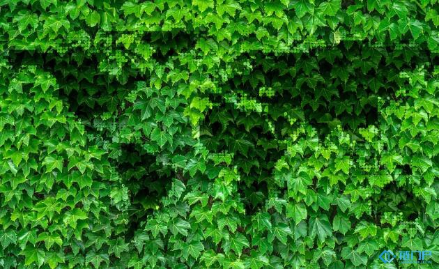 lbank（lbank证券交易所排亚洲地区前四）-第2张图片-欧意下载