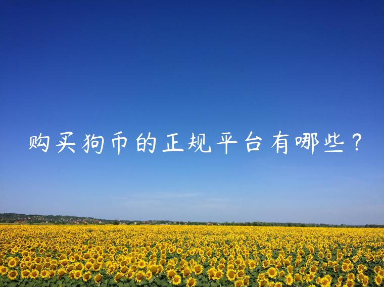 购买狗币的正规平台有哪些？-第1张图片-欧意下载