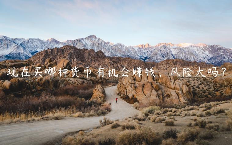 现在买哪种货币有机会赚钱，风险大吗？-第1张图片-欧意下载