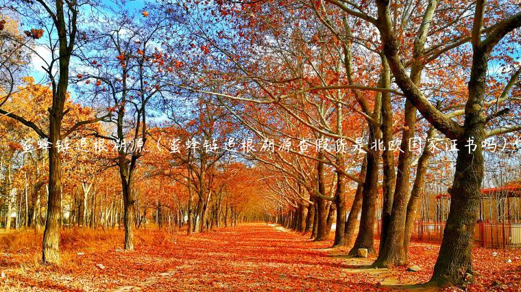 蜜蜂链追根溯源（蜜蜂链追根溯源查假货是北欧国家证书吗）-第1张图片-欧意下载