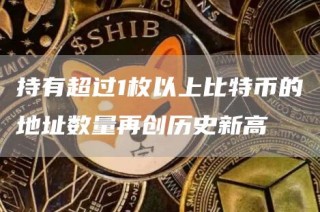 持有超过1枚以上比特币的地址数量再创历史新高