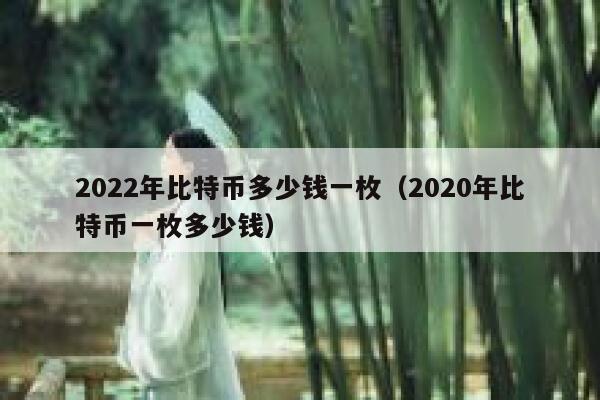 2022年比特币多少钱一枚（2020年比特币一枚多少钱）-第1张图片-欧意下载