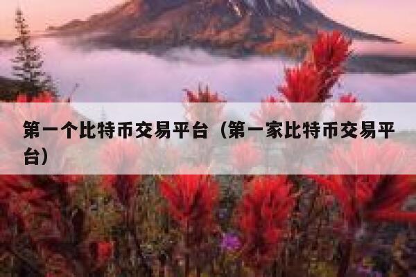 第一个比特币交易平台（第一家比特币交易平台）-第1张图片-欧意下载