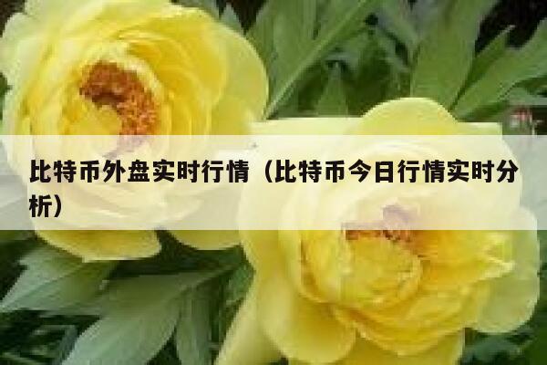 比特币外盘实时行情（比特币今日行情实时分析）-第1张图片-欧意下载