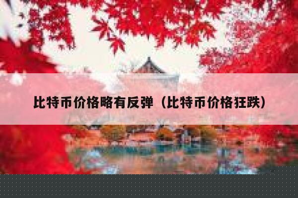 比特币价格略有反弹（比特币价格狂跌）-第1张图片-欧意下载