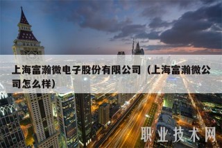 上海富瀚微电子股份有限公司（上海富瀚微公司怎么样