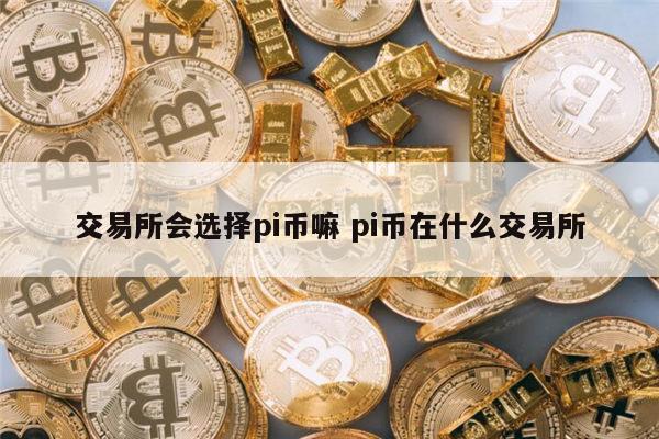 交易所会选择pi币嘛 pi币在哪个交易所-第1张图片-欧意下载