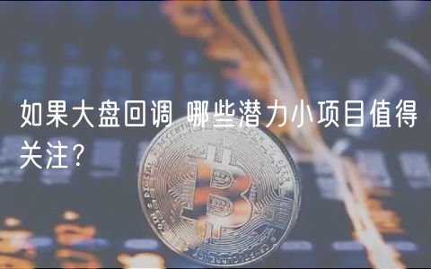 如果大盘回调 哪些潜力小项目值得关注？-第1张图片-欧意下载
