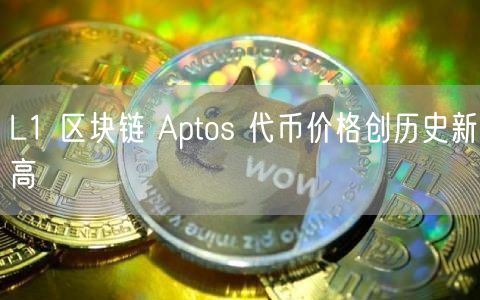L1 区块链 Aptos 代币价格创历史新高-第1张图片-欧意下载