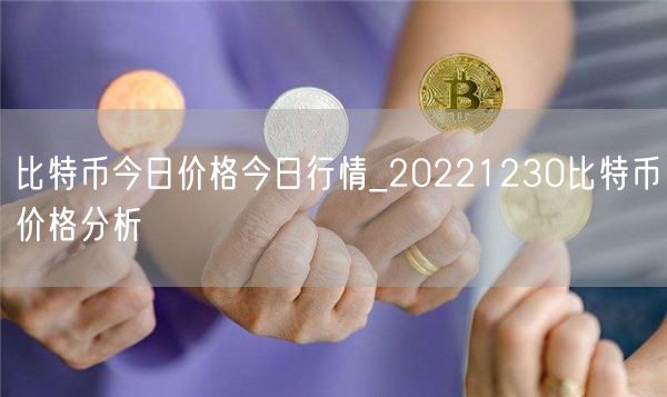 比特币今日价格今日行情_20221230比特币价格分析-第1张图片-欧意下载
