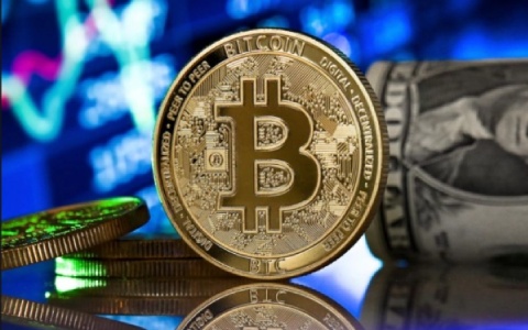 pi币31万美金(pi币在美国几钱一个) pi币31万美金(pi币在美国多少钱一个)