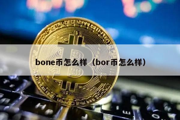 bone币怎么样(bor币怎么样)