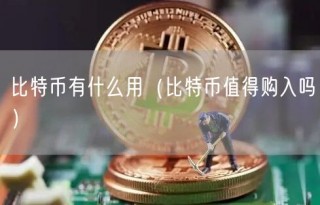 比特币有什么用（比特币值得购入吗）