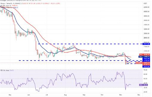 比特币价格今日行情 比特币今日最新消息-第2张图片-欧意下载