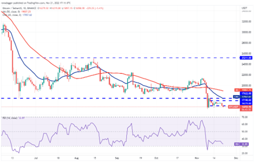 比特币近日最新价格 比特币今日最新消息-第2张图片-欧意下载