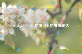 KrakenNFT 101 使用 PFP 的身份表达