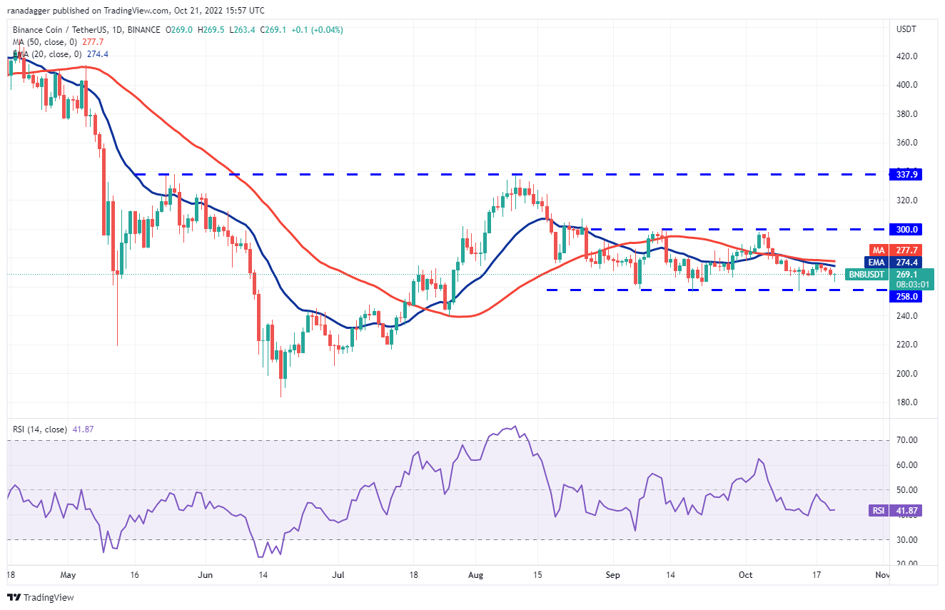 2022binance币最新行情 BNB价格行情趋势查询-第2张图片-欧意下载