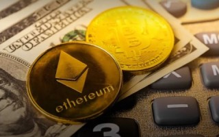 onecoin成功(onecoin支付)