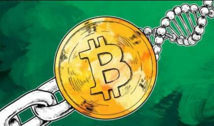 下载欧意链接(旧版V6.4.5)_安卓怎么下欧意-第4张图片-欧意下载