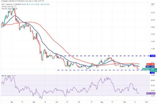波卡币价格今日行情 DOT币最新行情资讯-第3张图片-欧意下载