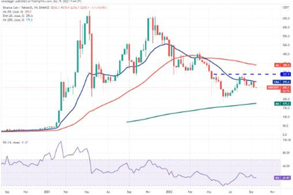 binance币最新价格行情美元 BNB最新趋势消息-第3张图片-欧意下载